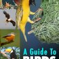 A Guide To Birds