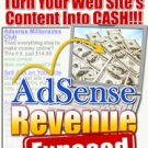 AdSense Revenue Exposed