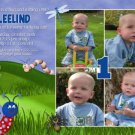 INSECT INSECTS N' BUGS BOY BIRTHDAY INVITATION