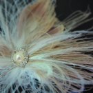 Champaign Feather fascinator for birdcage veil