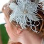 Birdcage Veil & Feather Fascinator with Pearl and Rhinestone