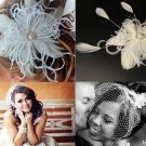 Birdcage veil & feather fascinator with pearl and rhinestone centerpiece (ivory or white) detachable