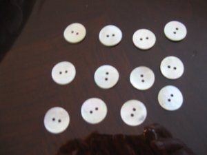 MOTHER OF PEARL shell buttons  12 ct.  2 hole