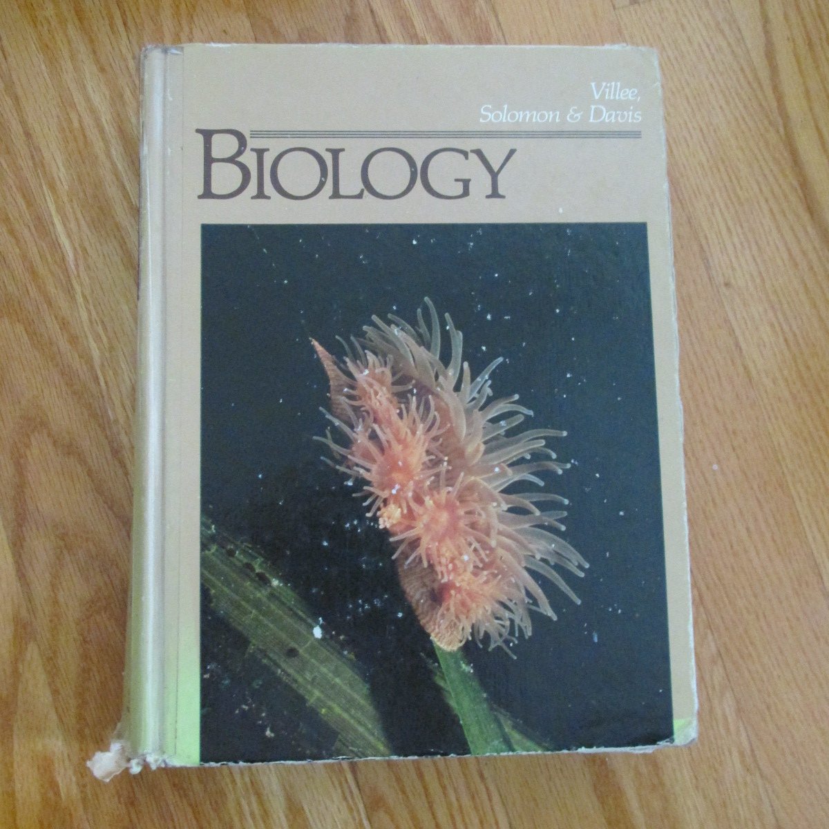 BIOLOGY TEXTBOOK SOLOMON BERG MARTIN/ViILLEE - HARD COVER BOOK CBS ...