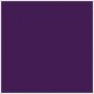 SIMPLY BASIC GIRL'S SIZE 7 / 8 SHORTS PURPLE JERSEY KNIT BIKE NWT