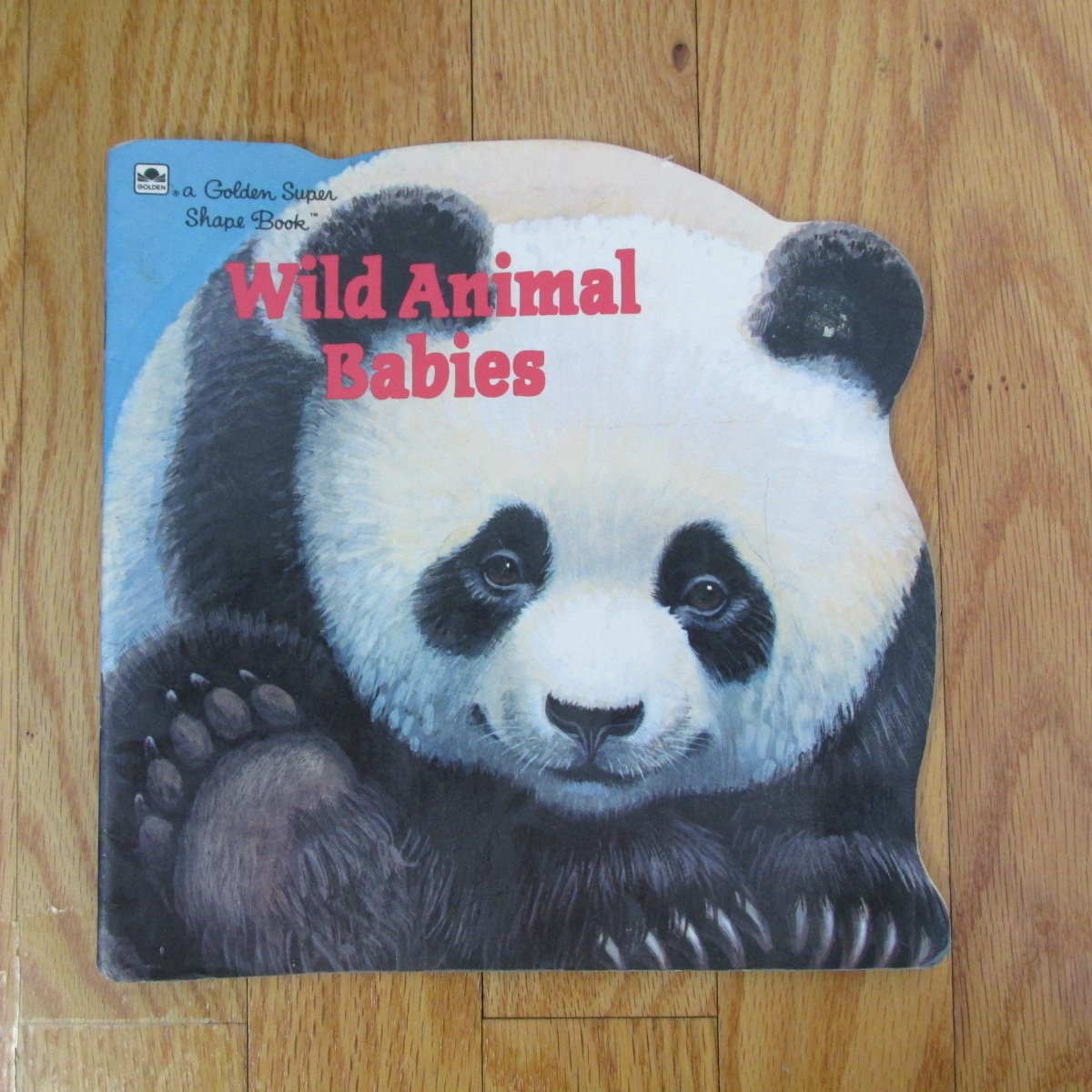 WILD ANIMALS BABIES BOOK AGES 2-8 GRADES PRE-k - 2ND
