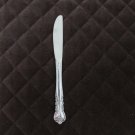 STANLEY ROBERTS ROGERS STAINLESS FLATWARE DELIGHT DINNER KNIFE  SILVERWARE REPLACEMENT
