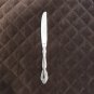 CAMBRIDGE STAINLESS CHINA FLATWARE RENAISSANCE GLOSSY DINNER KNIFE SILVERWARE REPLACEMENT