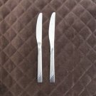 CAMBRIDGE STAINLESS FLATWARE    SET of 2 DINNER KNIVES SILVERWARE REPLACEMENT