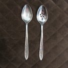 EKCO ETERNA STAINLESS JAPAN FLATWARE COUNTRY GARDEN SET of 2 SILVERWARE REPLACEMENT