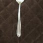 HAMPTON STAINLESS CHINA FLATWARE CLASSY ANASTASIA SET of 10 SILVERWARE REPLACEMENT or CHOICE