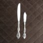 CAMBRIDGE STAINLESS CHINA FLATWARE RENAISSANCE SET of 2 SILVERWARE REPLACEMENT or CHOICE