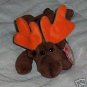 Chocolate the Moose Ty  Beanie Babies Collectible
