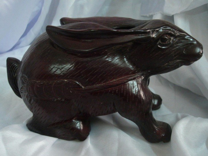 Nacrine wood rabbit