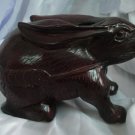 Nacrine wood rabbit