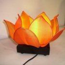 Silk lotus lamp