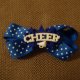 Ribbon and Button Bows
