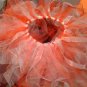 Medium Tulle TuTus Collection