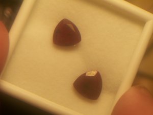Rudys