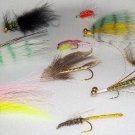 Trout Fly Fishing Assortment , 10 pc set