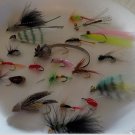 Trout Fly Fishing,  20 pc lot Assortment