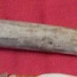 #39  /  Arrowhead Mule Deer Tine Knife