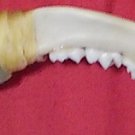 #40  /   Racoon Jaw , Arrow head knife