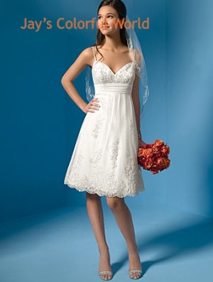 Tea-Length Spaghetti Strap Appliqued Custom Made Wedding Dress Bridal Gown Evening Dress