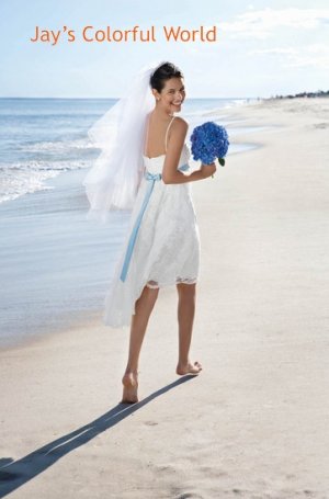 Beach Wedding Tea-length Spaghetti Strap Short Wedding Dress Bridal Gown