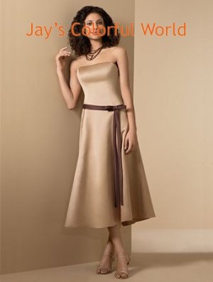 Champagne A-line T-length Strapless Bridesmaid Dress Evening Dress