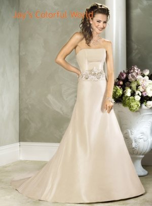 Champagne A-line Straight Neckline Strapless Appliques Beading  Wedding Dress Bridal Gown