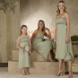 Kiwi Tea-length Chiffon Bridesmaid Dress/Evening Dress/Home Coming