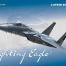 Eduard 1/48 Fighting Eagle Limited Edition F-15 Model Kit