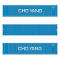 Scaletrains Scale Trains HO Cho Yang 40' Standard, Corrugated Container SXT11845