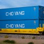 Scaletrains Scale Trains HO Cho Yang 40' Standard, Corrugated Container SXT11845