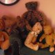 Bears
