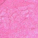 Fuschia Roses