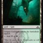 Foil Guilds of Ravnica Golgari Guildgate (248)