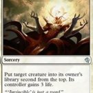 Duel Decks Zendikar vs Eldrazi Oust (Not Mystery Booster)