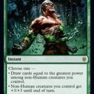 Throne of Eldraine Return of the Wildspeaker