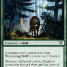 Foil Avacyn Restored Wandering Wolf