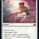 4 x Ikoria: Lair of Behemoths Light of Hope (playset)