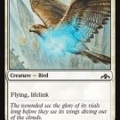 4 x Guilds of Ravnica Healer's Hawk (playset)