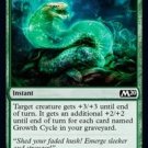 4 x Magic 2020 (M20) Growth Cycle (playset)