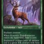Throne of Eldraine Promo Kenrith's Transformation