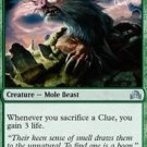4 x Shadows over Innistrad Graf Mole (playset)