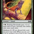4 x Ultimate Masters Basking Rootwalla (Playset)