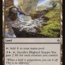 4 x Battle for Zendikar Blighted Steepe (playset)