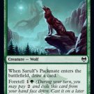 4 x Kaldheim Sarulf's Packmate (playset)