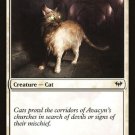 4 x Dark Ascension Sanctuary Cat (playset)